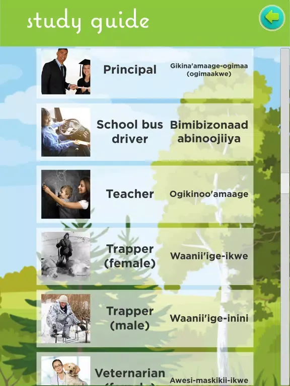 تصاویر Long Plain Word Quest iPad 