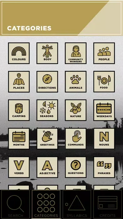 Скриншоты Saysi Dene Dictionary