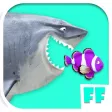 Feeding Fish Frenzy