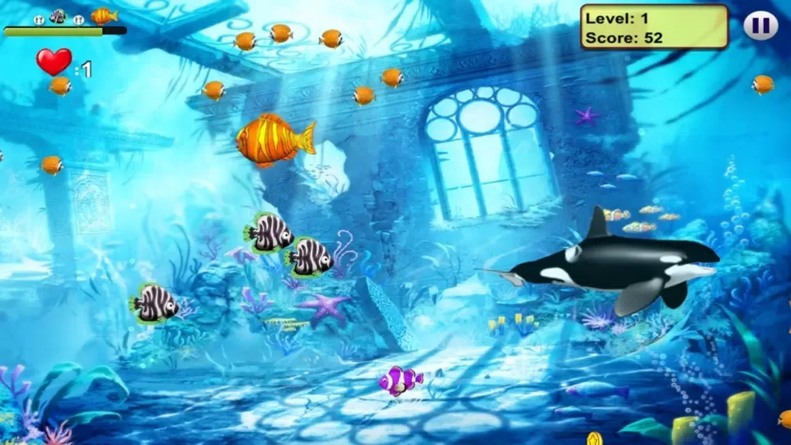 صور Feeding Fish Frenzy