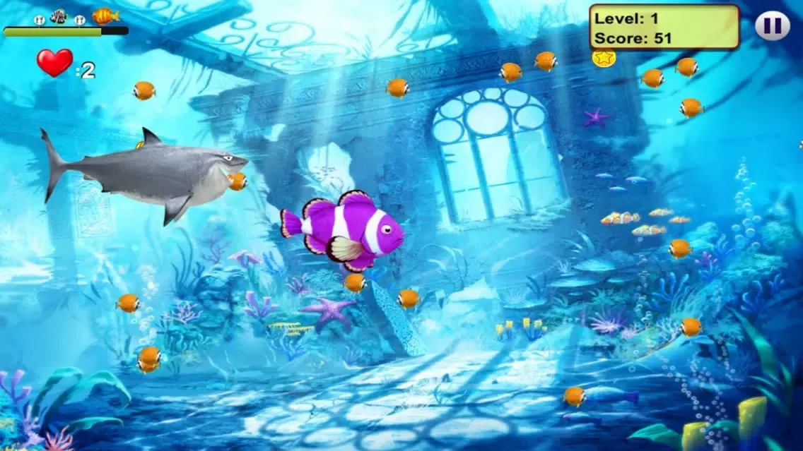 صور Feeding Fish Frenzy
