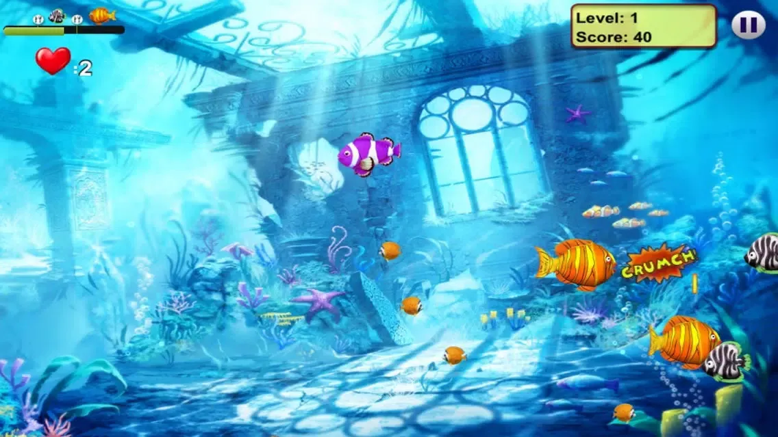 صور Feeding Fish Frenzy