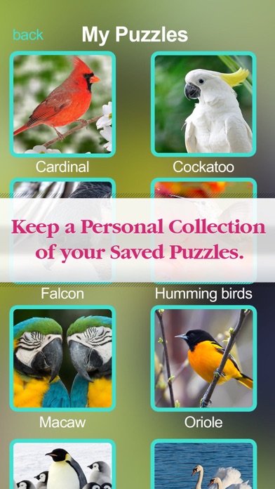 صور Puzzles Amazing Jigsaw Birds Collection Pro
