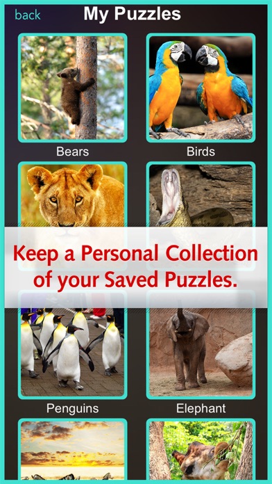 Zoo Jigsaw Animal Pro - Activity Learn And Play应用截图
