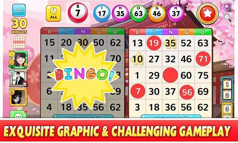 Bingo Win Screenshots