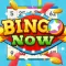 Bingo Now