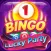 Bingo Lucky Party