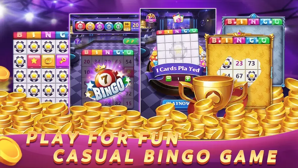 صور Bingo Lucky Party