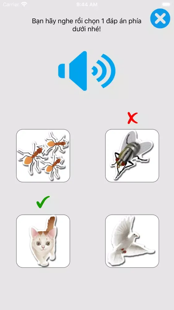 Song Ngữ Anh Việt Screenshots