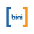 BINI Fusion
