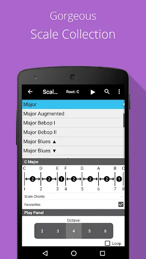 Captures d'écran de Piano Chords, Scales, Progress