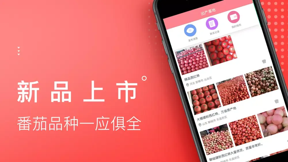 番茄生活社区-老实人品质生活社区 スクリーンショット