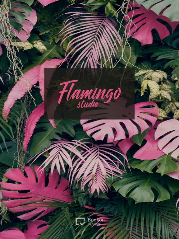 Студія Flamingo iPad  Screenshots