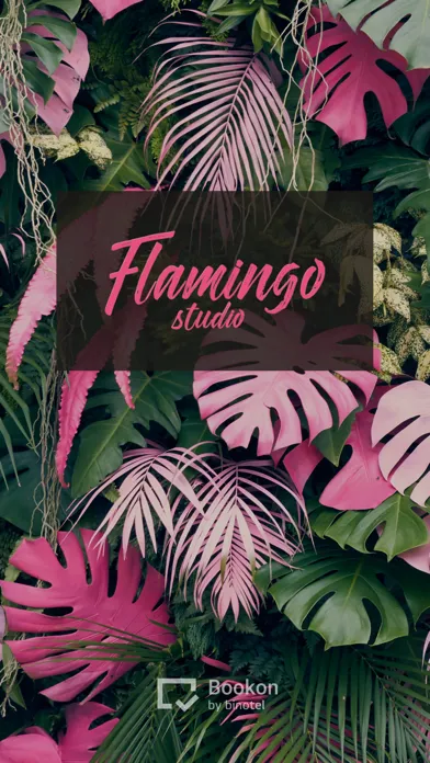 Студія Flamingo Screenshots