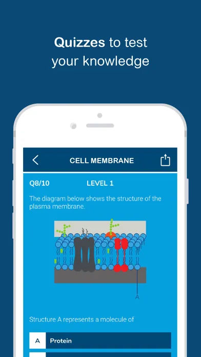 تصاویر Biology Answers - AP Biology