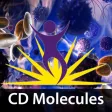 BioLegend CD Posters BioLegend CD Posters