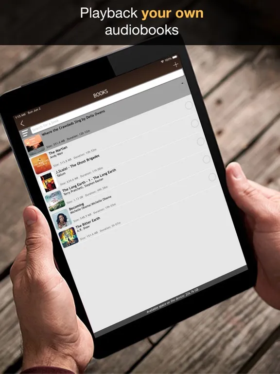 MP3 Audiobook Player iPad 应用截图
