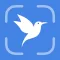 Bird Identifier - BirdID ۬