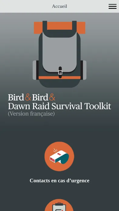 Bird&Bird Dawn Raid スクリーンショット