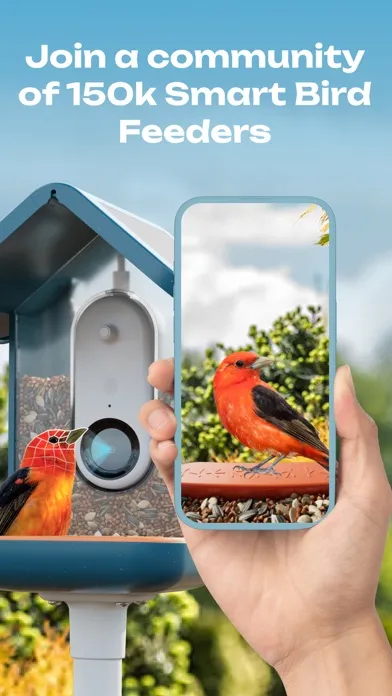 Bird Buddy: Tap Into Nature স্ক্রিনশট