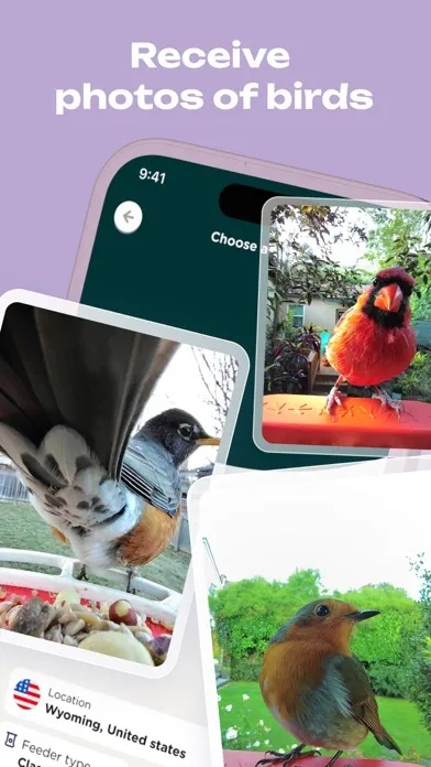 Bird Buddy: Tap Into Nature স্ক্রিনশট