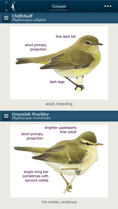 Birds of Northern Europe स्क्रीनशॉट