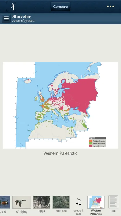 Birds of Northern Europe स्क्रीनशॉट