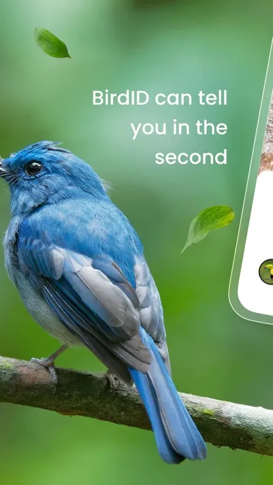 Bird ID: Bird call identifier Screenshots