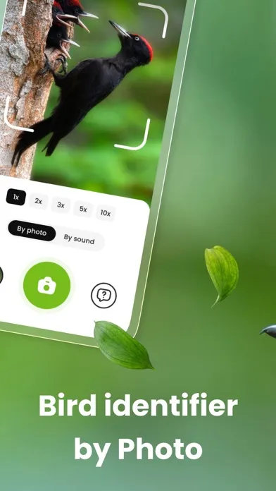 Bird ID: Bird call identifier Screenshots