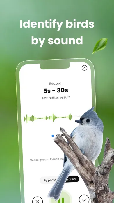 Bird ID: Bird call identifier Screenshots