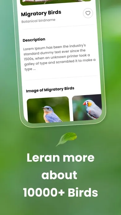 Bird ID: Bird call identifier Screenshots