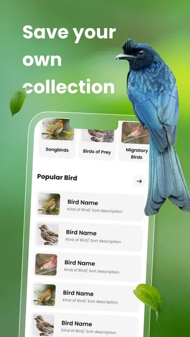Bird ID: Bird call identifier Screenshots