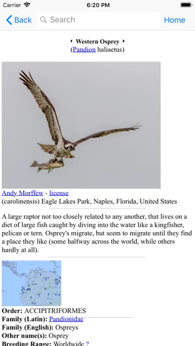 Tangkapan layar Bird Data