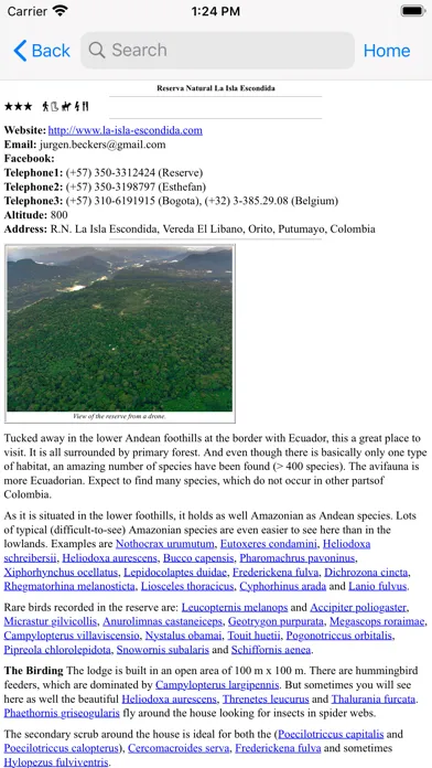 Скриншоты Birdwatching in Colombia