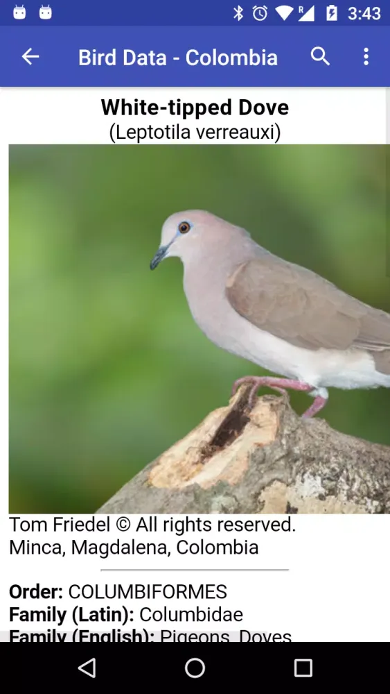 Screenshot di Bird Data - Colombia