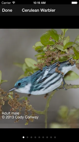 BirdsEye Biggest Week in American Birding Festival App سکرین شاٹس