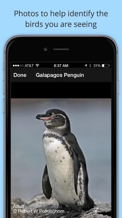 Screenshot di BirdsEye Galápagos