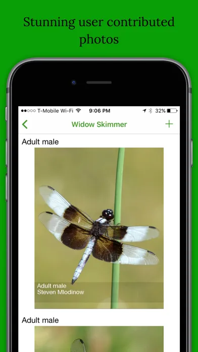Dragonfly Damselfly ID App スクリーンショット