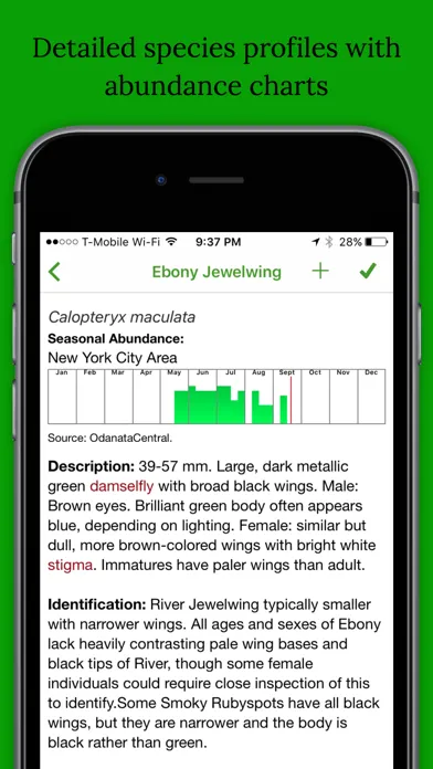 Dragonfly Damselfly ID App スクリーンショット