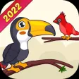Bird Sort Puzzle Game Bird Sort Puzzle Game