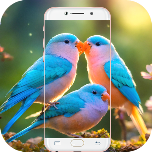 Bird Wallpaper HD