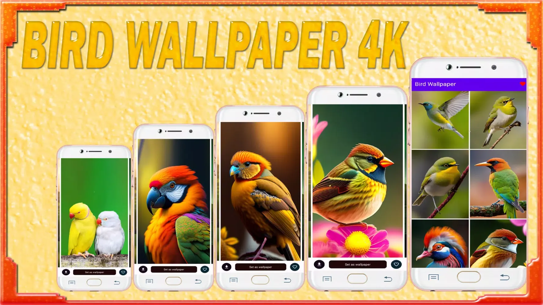Capturas de tela do Bird Wallpaper HD