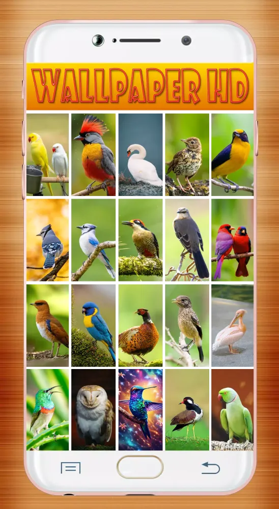 Capturas de tela do Bird Wallpaper HD