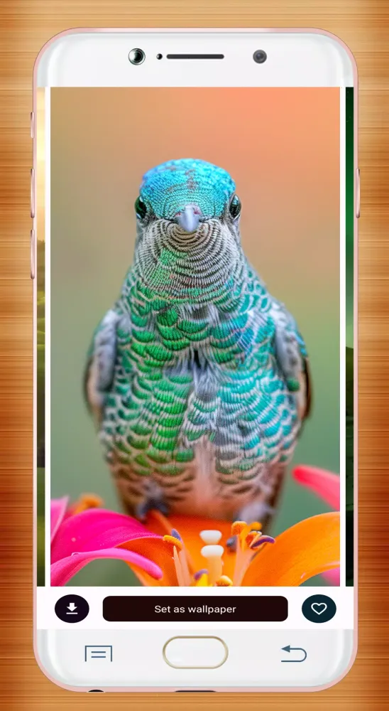 Capturas de tela do Bird Wallpaper HD