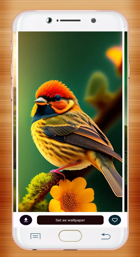 Capturas de tela do Bird Wallpaper HD