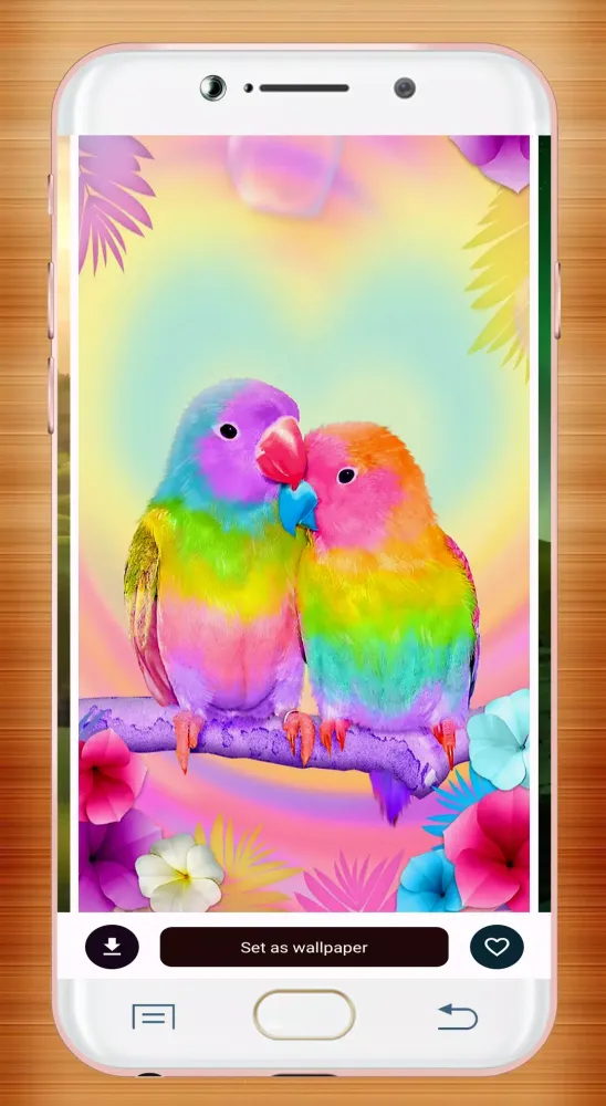 Capturas de tela do Bird Wallpaper HD