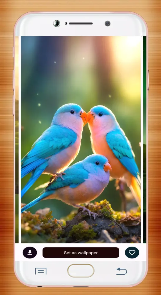 Capturas de tela do Bird Wallpaper HD