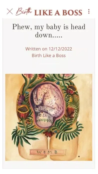 Capturas de tela do Birth like a Boss