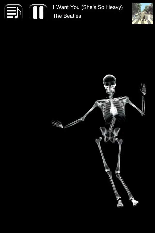 Skeletunes应用截图