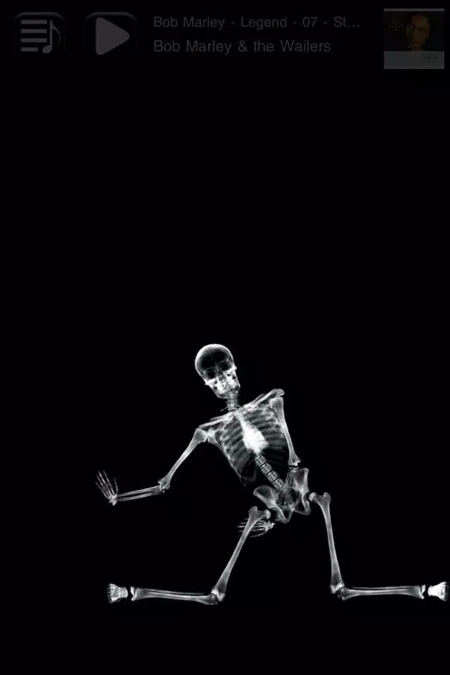 Skeletunes应用截图